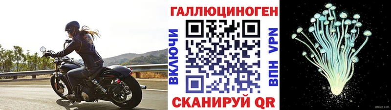 Псилоцибиновые грибы ЛСД купить закладку Мещовск